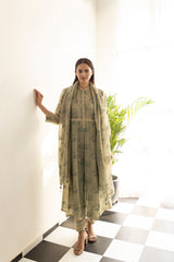 Box pleat Screen printed kurta set