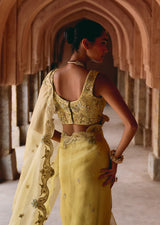 Mehraab Intricate Pale Yellow Saree Set