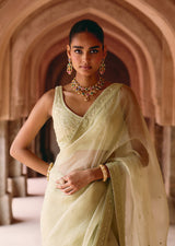 Mehraab Pastel Mink Saree set