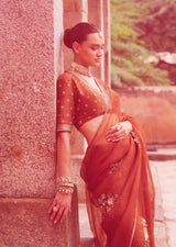 Mehraab Rust brown Saree set