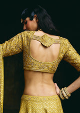 Mehraab Muted Green Lehenga Set