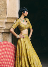 Mehraab Muted Green Lehenga Set