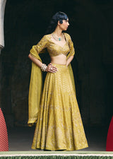 Mehraab Muted Green Lehenga Set