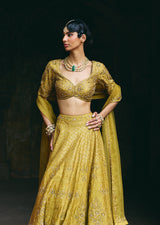Mehraab Muted Green Lehenga Set