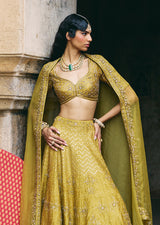 Mehraab Muted Green Lehenga Set