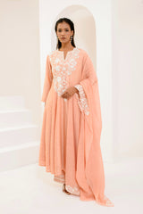 Rose gold printed panel Anarkali