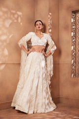 Heavily Embroidered Ivory Bead Work Sitara Lehenga