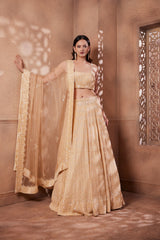 Beige Sitara bead and sequin work lehenga