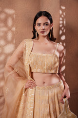 Beige Sitara bead and sequin work lehenga