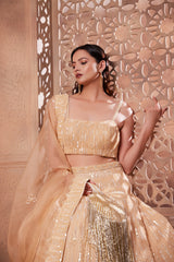 Beige Sitara bead and sequin work lehenga