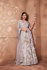 Roman Silver Sitara Lehenga