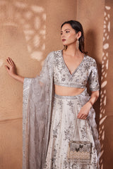 Roman Silver Sitara Lehenga