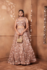 Heavily Embroidered Onion Pink Sitara Lehenga