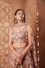 Heavily Embroidered Onion Pink Sitara Lehenga