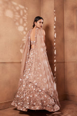 Heavily Embroidered Onion Pink Sitara Lehenga