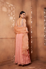 Blossom Pink Sitara Anarkali