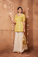 Heavy Embroidered Ivory Yellow organza kurta
