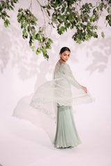 Elegant embroidered gharara set