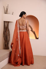 Rust blouse with organza skirt and dupatta