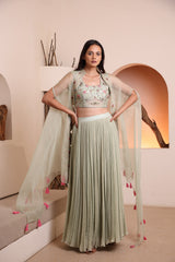 Siege green hand embroidered blouse with georgette pleated skirt and embroidered cape