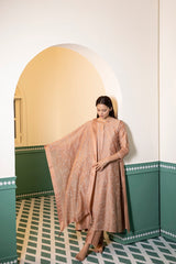 Screen Printed side panel kurta set