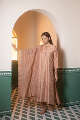 Screen Printed side panel kurta set