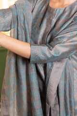 Screen printed chanderi silk Kurta set