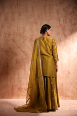Short kurta with panel plazo pant