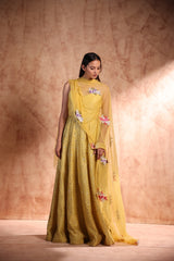 Pistachios green Printed Anarkali in Chanderi Silk with scatted sequin work