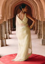 Mehraab Pastel Mink Saree set