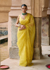 Mehraab Yellow Dori Saree set