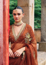 Mehraab Rust brown Saree set