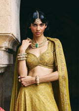 Mehraab Muted Green Lehenga Set