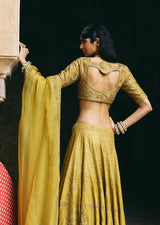 Mehraab Muted Green Lehenga Set
