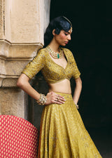 Mehraab Muted Green Lehenga Set