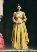 Mehraab Muted Green Lehenga Set