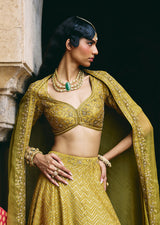 Mehraab Muted Green Lehenga Set