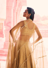 Mehraab Metallic Gold Lehenga Set