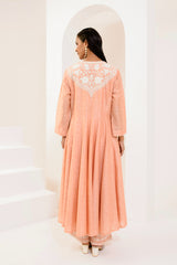 Rose gold printed panel Anarkali