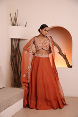 Rust blouse with organza skirt and dupatta