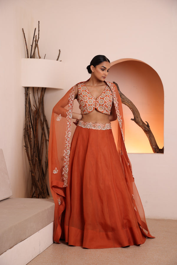 Rust blouse with organza skirt and dupatta