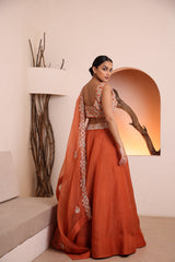 Rust blouse with organza skirt and dupatta