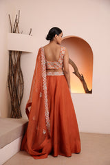 Rust blouse with organza skirt and dupatta
