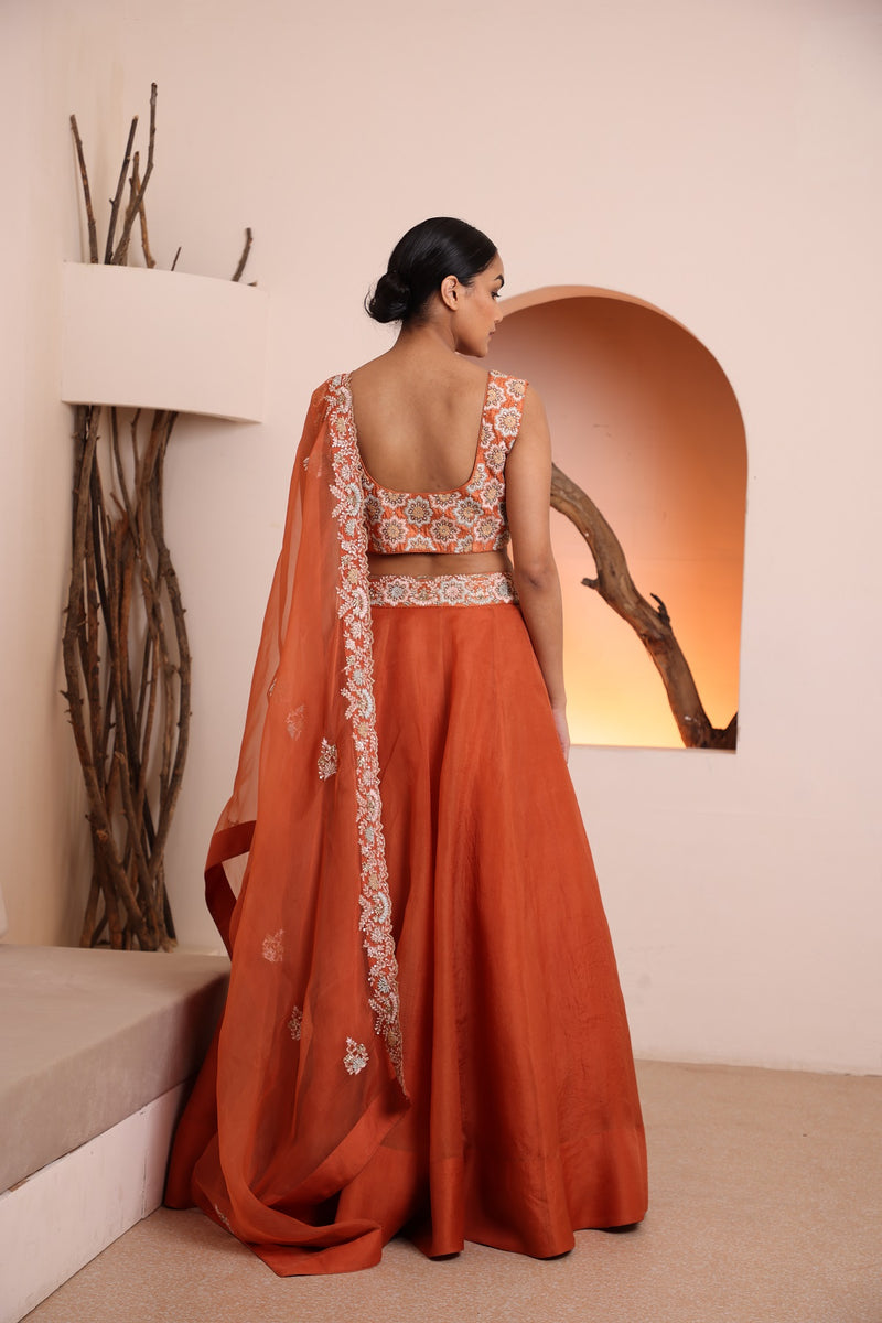 Rust blouse with organza skirt and dupatta