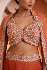 Rust blouse with organza skirt and dupatta