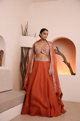 Rust blouse with organza skirt and dupatta