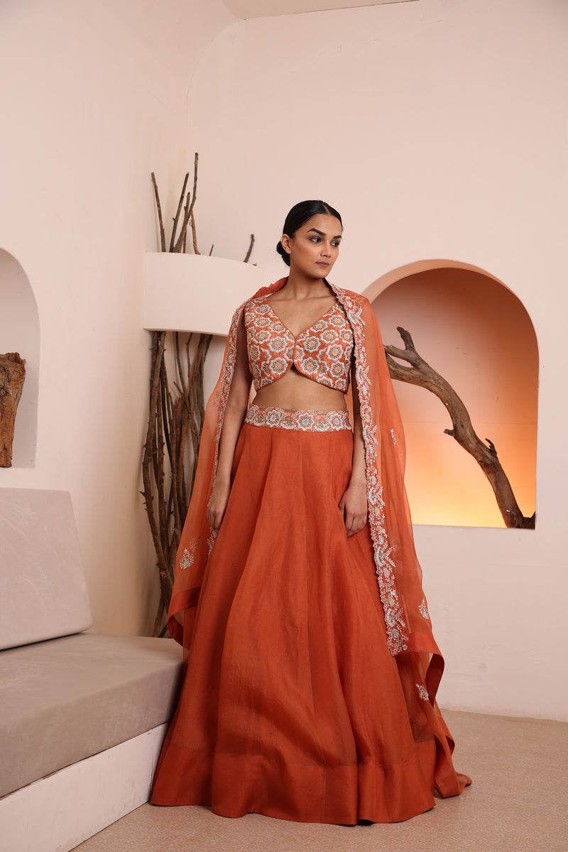 Rust blouse with organza skirt and dupatta